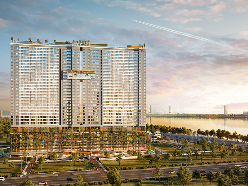 PHIM GIỚI THIỆU DỰ ÁN SIGNIAL