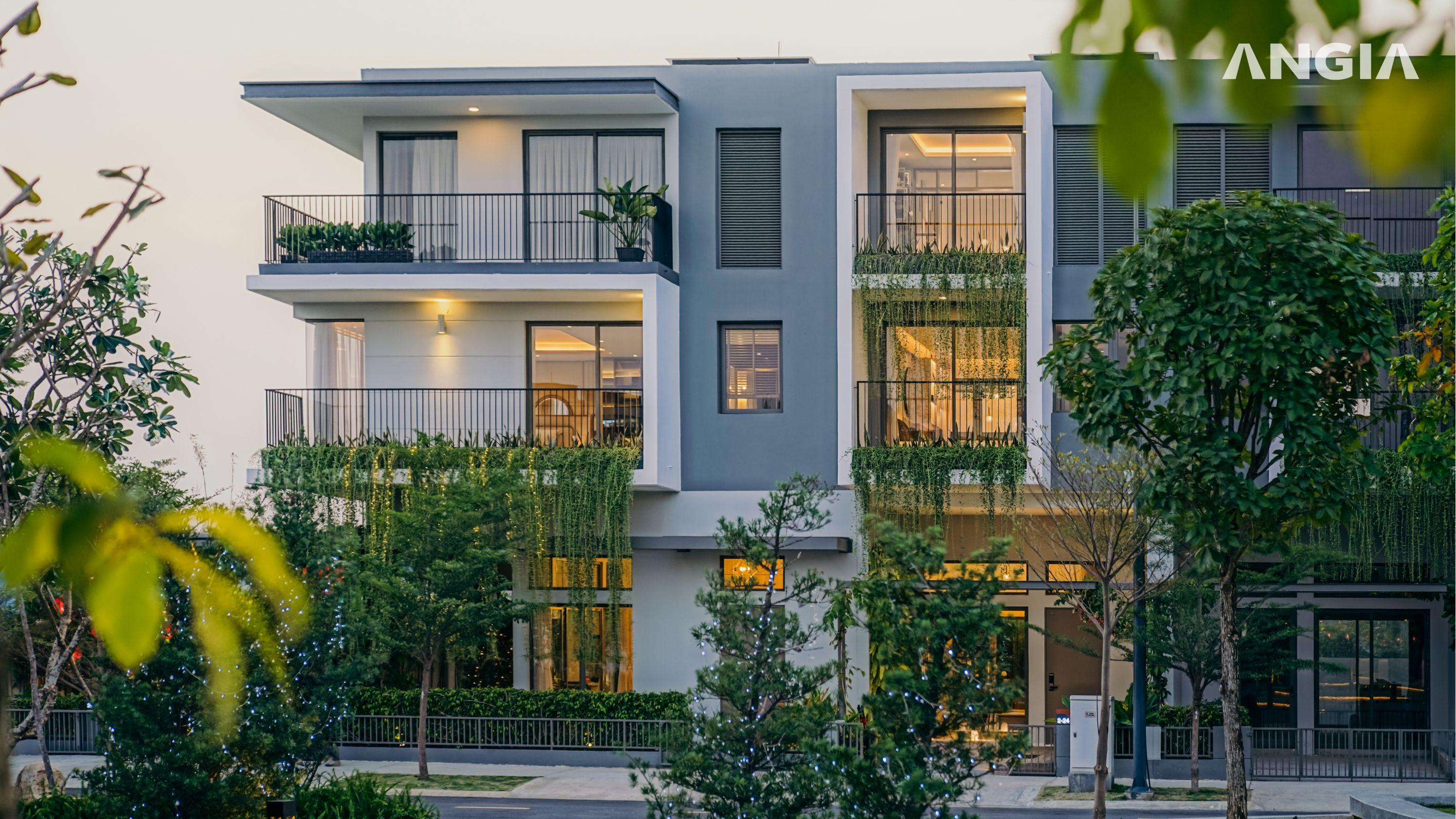 THE STANDARD (AN GIA) - 